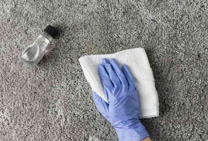 How to Remove Common Carpet Stains Without Damaging Your Carpet